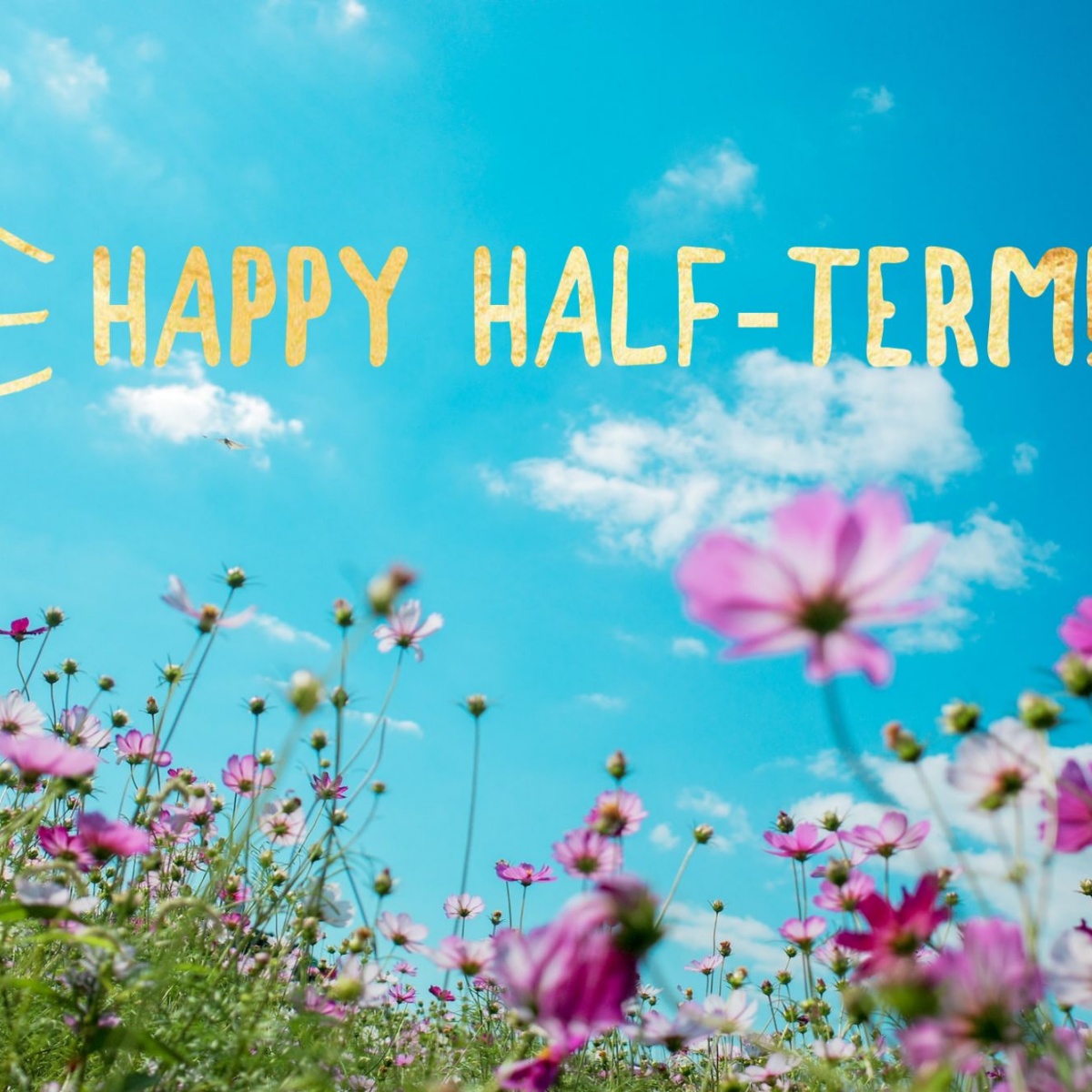 Happy half term! Rushey Mead Primary School